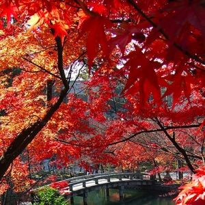 Meet your Posher, Destiny